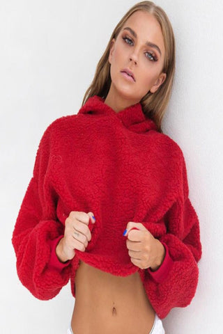 Ivy Teddy Hoody