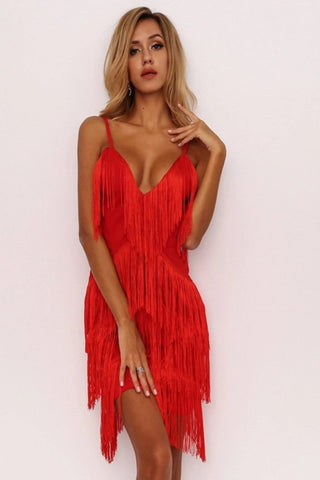 Rosy Fringe Dress